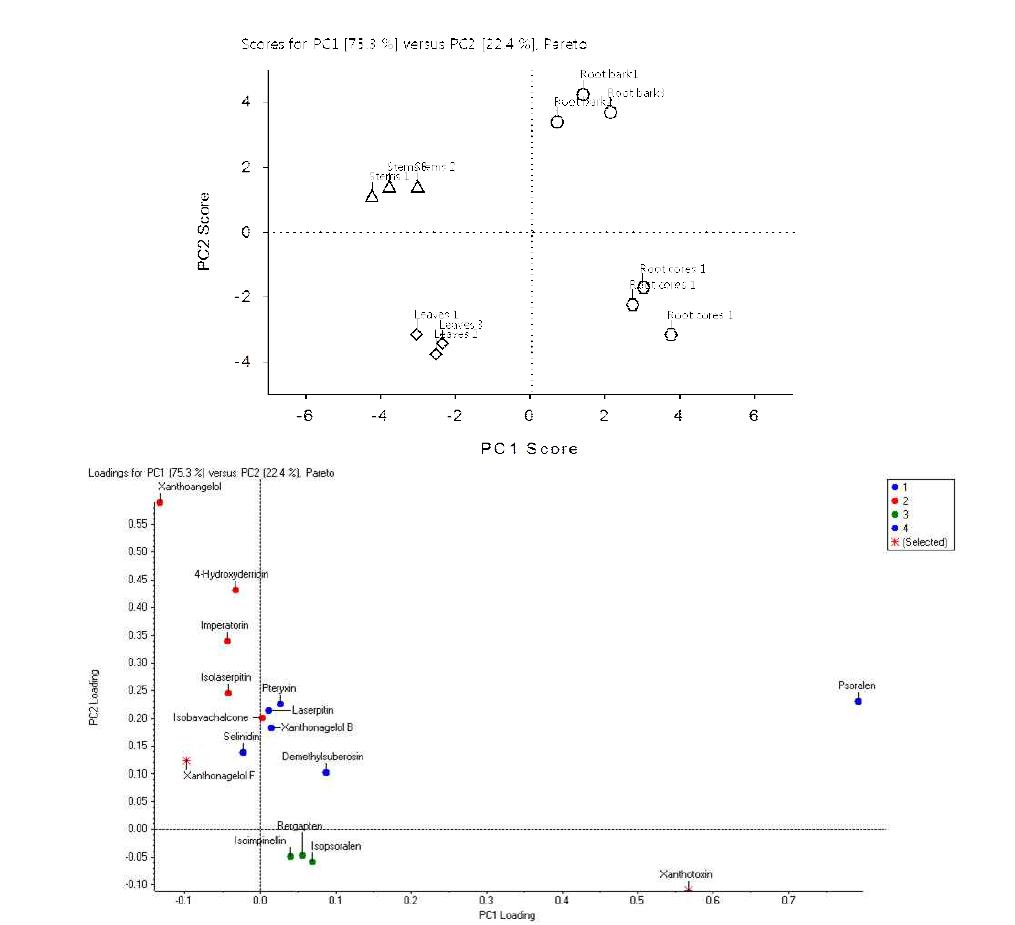 PCA score scatter plot (top) and loading scatter plot (lower) of different parts based on the 16 anlaytes.