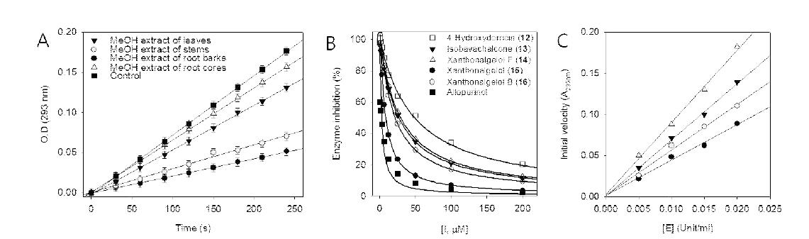 (A) Xanthine oxidase에 대한 부위별 활성 (B) Chalcone 계열 12-16 화합물의 농도 의존적인 활성 (C) Enzyme 농도에 따른 가역적 저해제