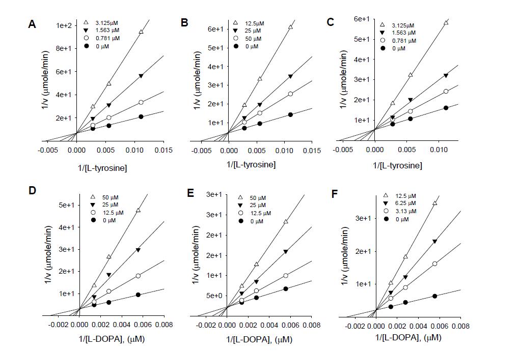 Lineweaver-Burk plots for the inhibition of the monophenolase and diphenolase activitiesof tyrosinase by compounds 1, 2, 3. In the presence of different concentrations of compounds for curves from bottom to top were (A) for monophenolase of 1;(B) for monophenolase of 2;(C) for monophenolase of 3;(D) for diphenolase of 1;(E) for diphenolase of 2;(F) for diphenolase of 3.