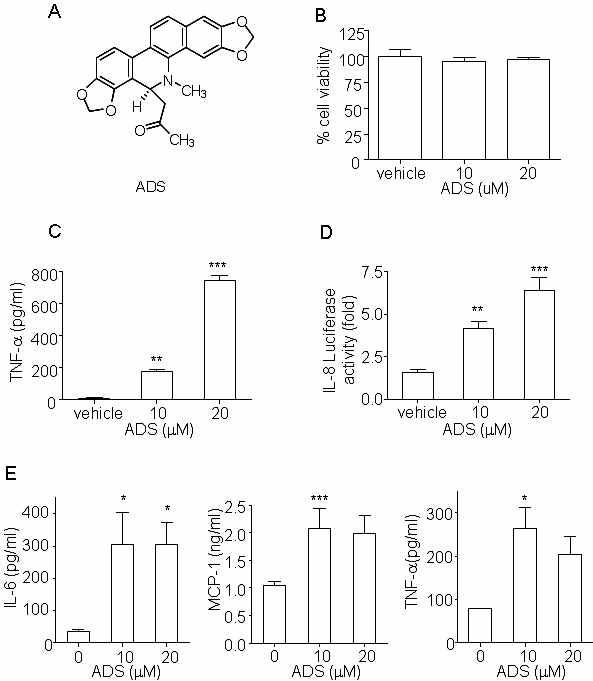 ADS induces inflammatory cytokine production.