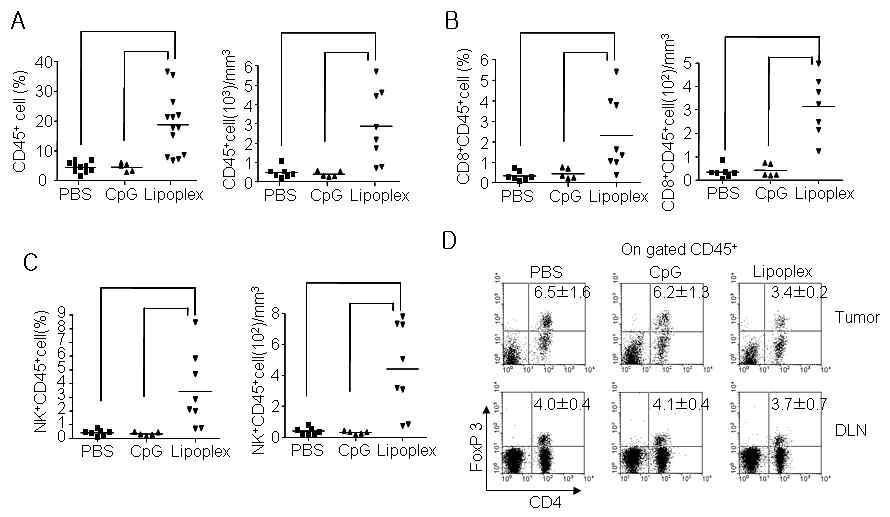 Accumulation of CD8+ T and NK cells at the tumor site. B16 melanoma-bearing mice were intratumorally administered CpG 4531 or lipoplex at day 12, 15, and 18, and the tumor was resected and sized on day 20.