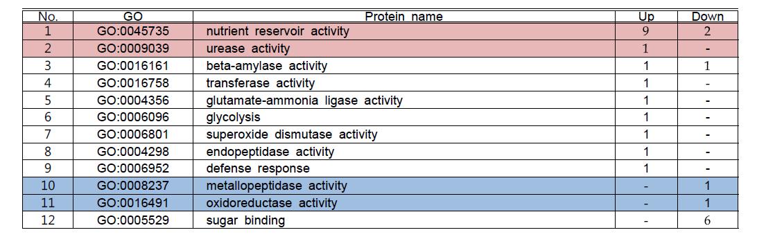 단백질 함량의 차이를 보이는 품종간 (WS22, WS15) GO 분석