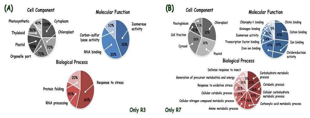 콩 생육 시기별 MudPIT 데이터 결과의 gene ontology 분석