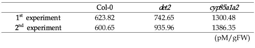 ELISA를 통한 det2, cyp85a1a2의 ABA 내생 함량 측정