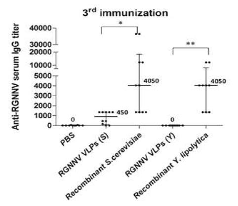 3차 투여 후 각 그룹 별 혈청 내 RGNNV VLP 특이적인 IgG 항체 역가의 비교