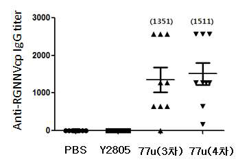 S. cerevisiae-77u-NNVcp의 경구 면역에 따른 항체 유도능 평가