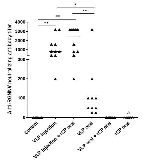 rCP yeast 및 정제 VLP 면역를 능성어에 면역한후 능성어 혈청의 중화항체 역가 측정 결과.