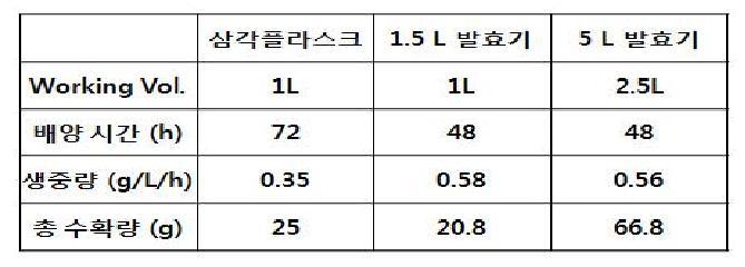 배양 조건에 따른 재조합 효모 균체 확보