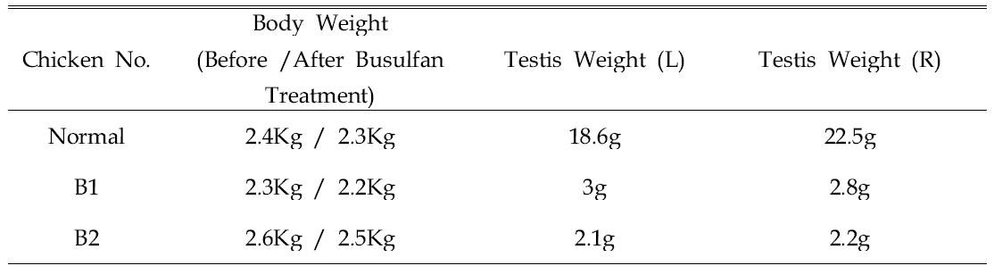 Change of chicken body weight and testis weight after busulfan treatment