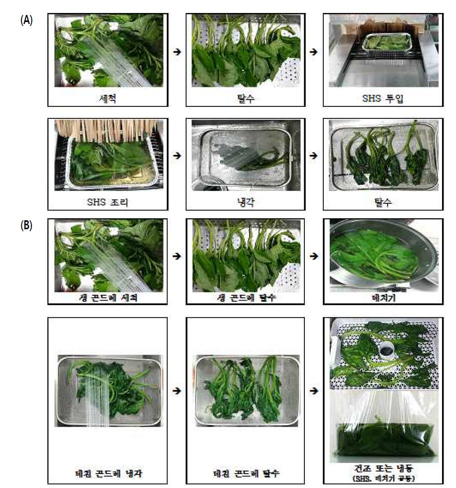 곤드레 전처리 공정도; (A) SHS 처리, (B) 데치기