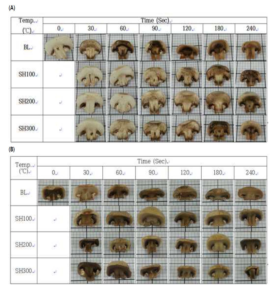 데치기 조건에 따른 양송이의 외관 변화; (A) 조리 및 냉장 24 시간 후, (B) 조리 및 냉해동 후