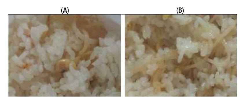 콩나물밥의 조리방법에 따른 외관비교: (A) Conventional rice cooker, (B) Pressured rice cooker