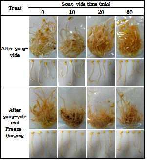 용액 Sous-vide 처리시간에 따른 냉해동 콩나물의 외관