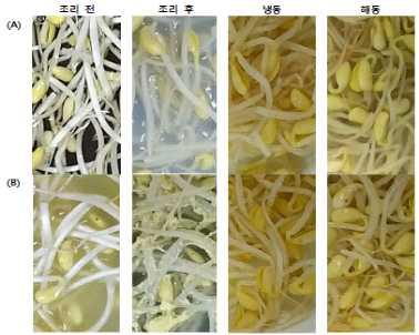 조리 조건에 따른 콩나물의 외관 변화; (A) WY, (B) WW