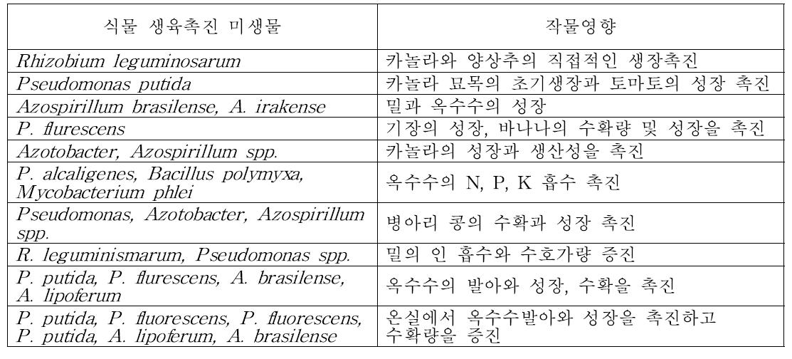 근권에 존재하는 PGPR과 생물학적 영향