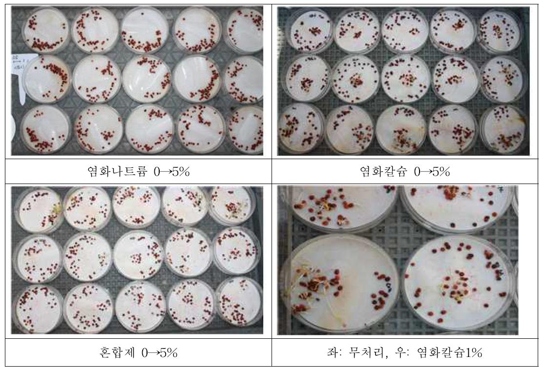 제설제 처리가 시금치 발아 및 뿌리와 줄기 성장에 미치는 영향.