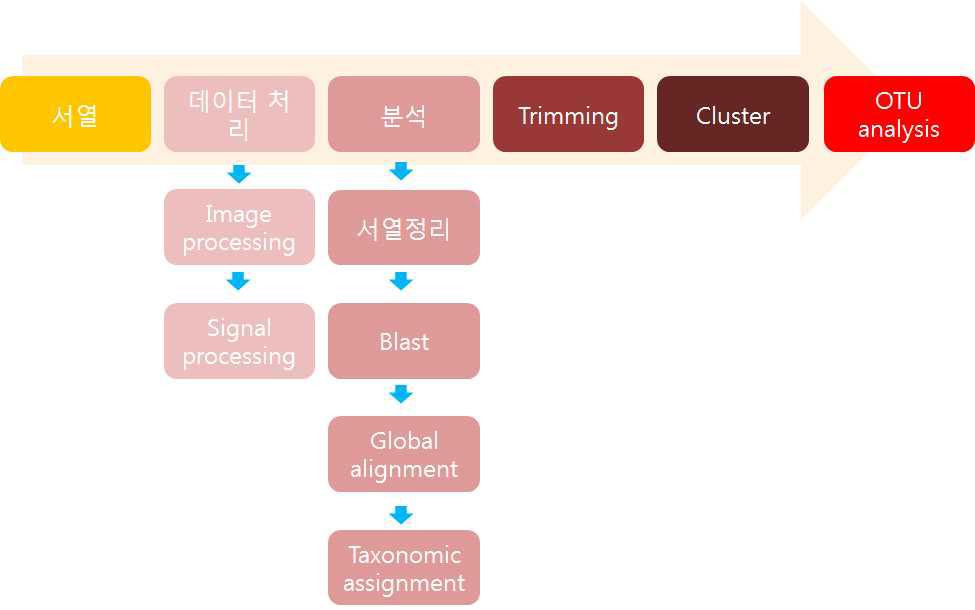 메타게놈 분석에 대한 과정 흐름도