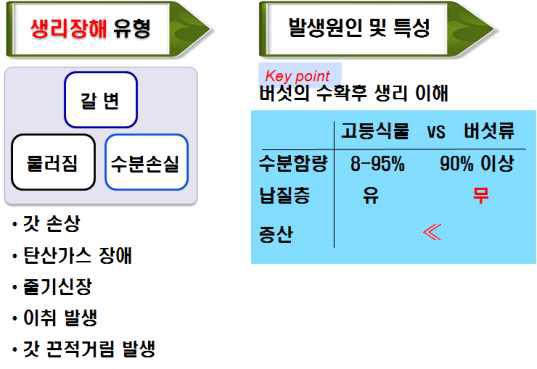 농산버섯의 수확후 생리장해 유형 및 요인