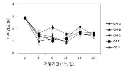 팽이버섯 필름처리별 8℃ 저장중 자루경도