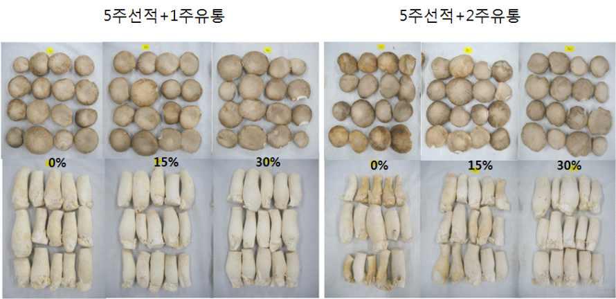 큰느타리버섯의 5주 모의운송(3℃) 및 유통(7℃) 중 CO2 처리농도별 버섯 모습