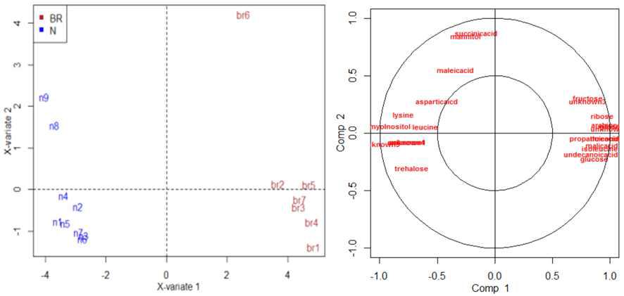 PCA of the metabolic profiles of polar phase compounds of browning golden needle mushroom.