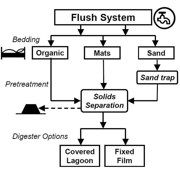 Flushed 젖소분뇨를 위한 혐기성 소화 처리 흐름도(Wilkie, 2005)