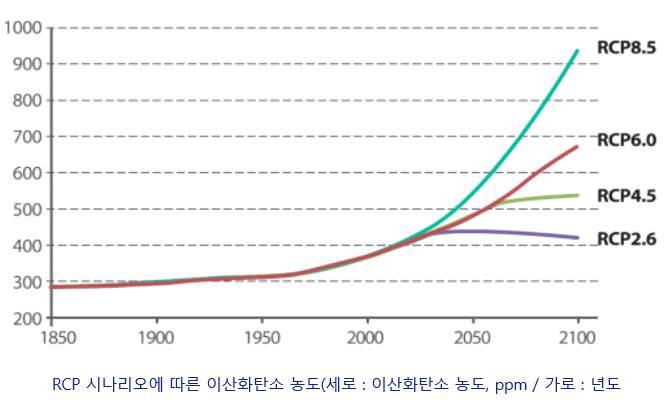 2100년까지의 RCP 시나리오 종류별 온실가스 농도변화