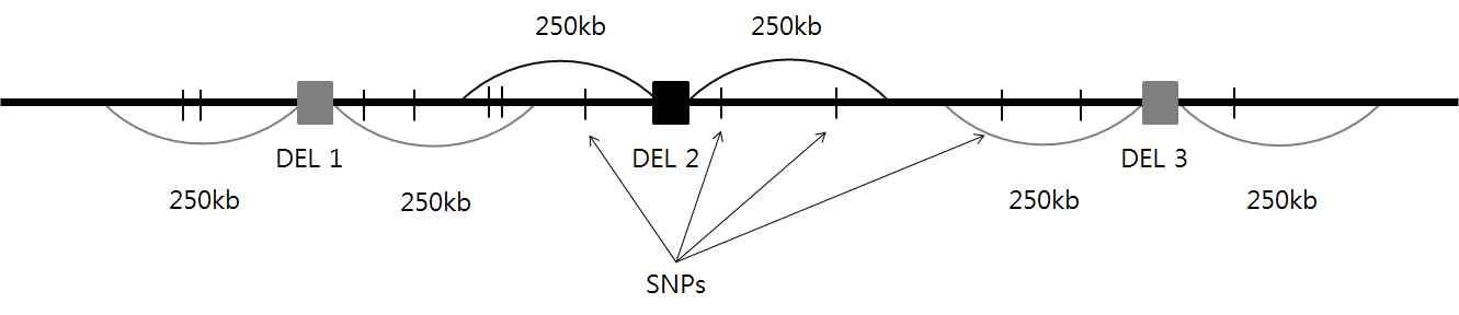 결손과 SNP 사이의 유전적 연관(LD)를 보기 위한 모식도
