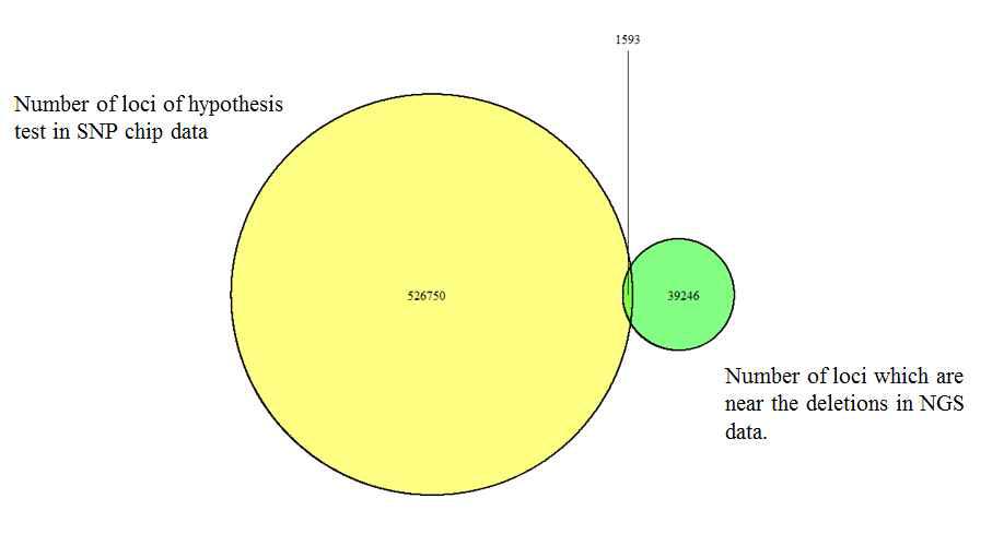 한우의 SNP chip과 NGS에서 결손을 기준으로 250kb 안에 있는 SNP와의 개수