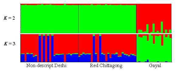 Genetic structure of three cattle populations inferred using structure 2.3.4