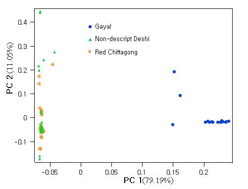 Individual animal clustering based principal component analysis.