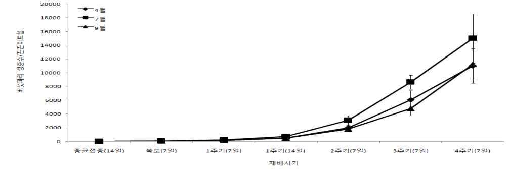 양송이버섯 재배시기별 버섯파리의 발생소장