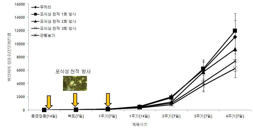 포식성 천적 방사회수가 버섯파리의 발생밀도 감소에 미치는 영향