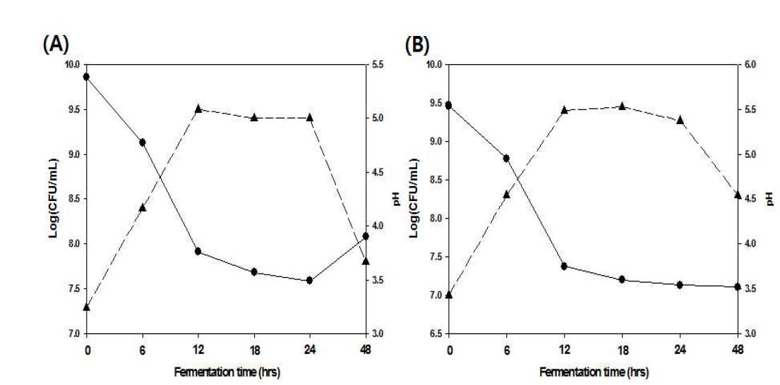 Changes in cell counting (log(CFU/mL) (▲) and pH (●) of the Lb.plantarum JAS 22