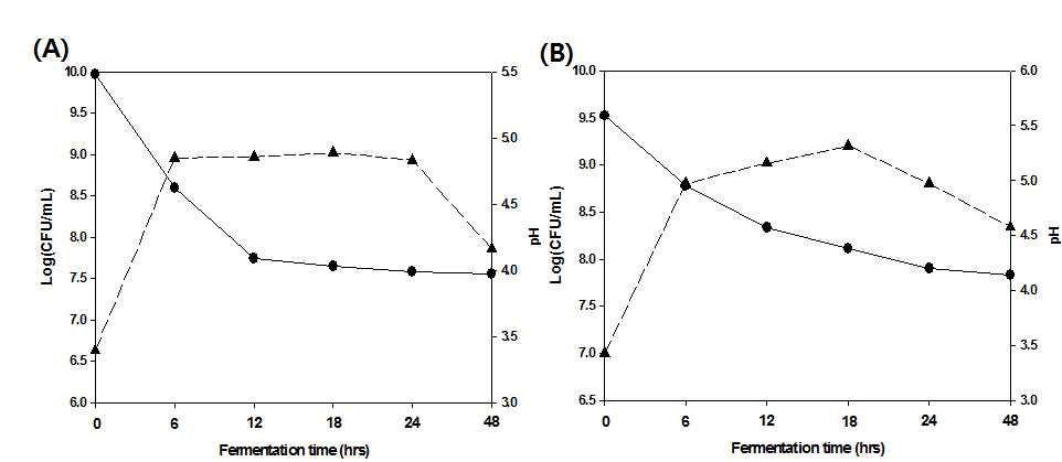 Changes in cell counting (log(CFU/mL) (▲) and pH (●) of theLeuconostoc lactis I15.