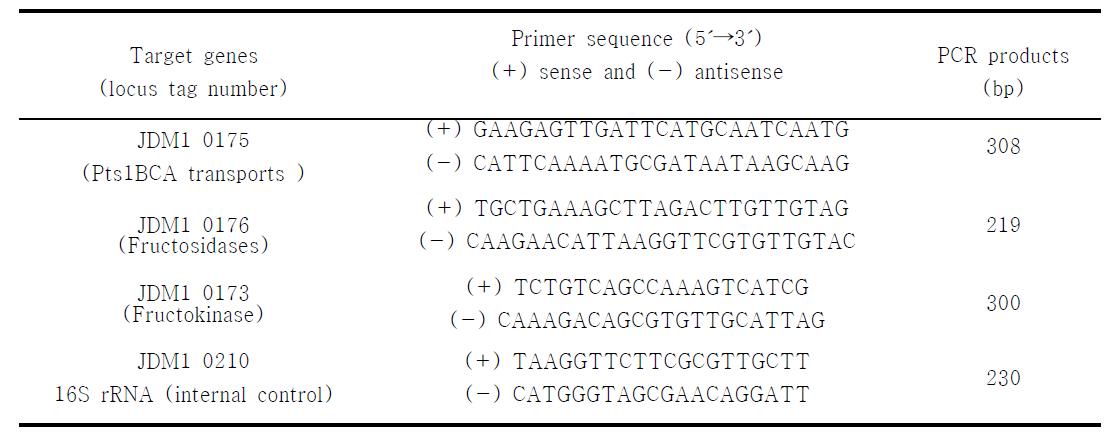 Primers used for semi-quantitative RT-PCR