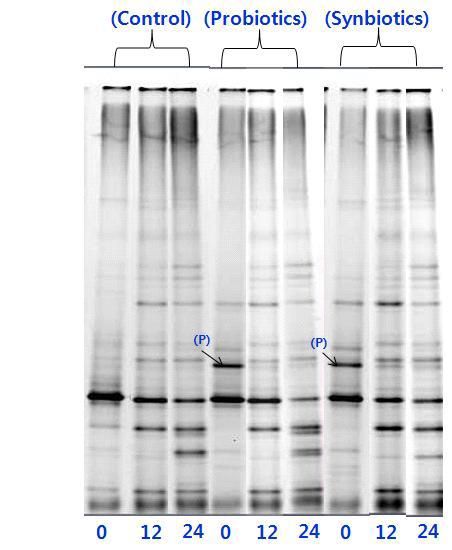 Investigation of the probiotics Lb. brevis JSB22 during stirred, pH-controlled, anaerobic batch culture fermentations (donor).
