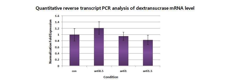 RT-PCR quantification of mRNA shows that the level of dextransucrasemRNA of the dextransucrase antisense strain.