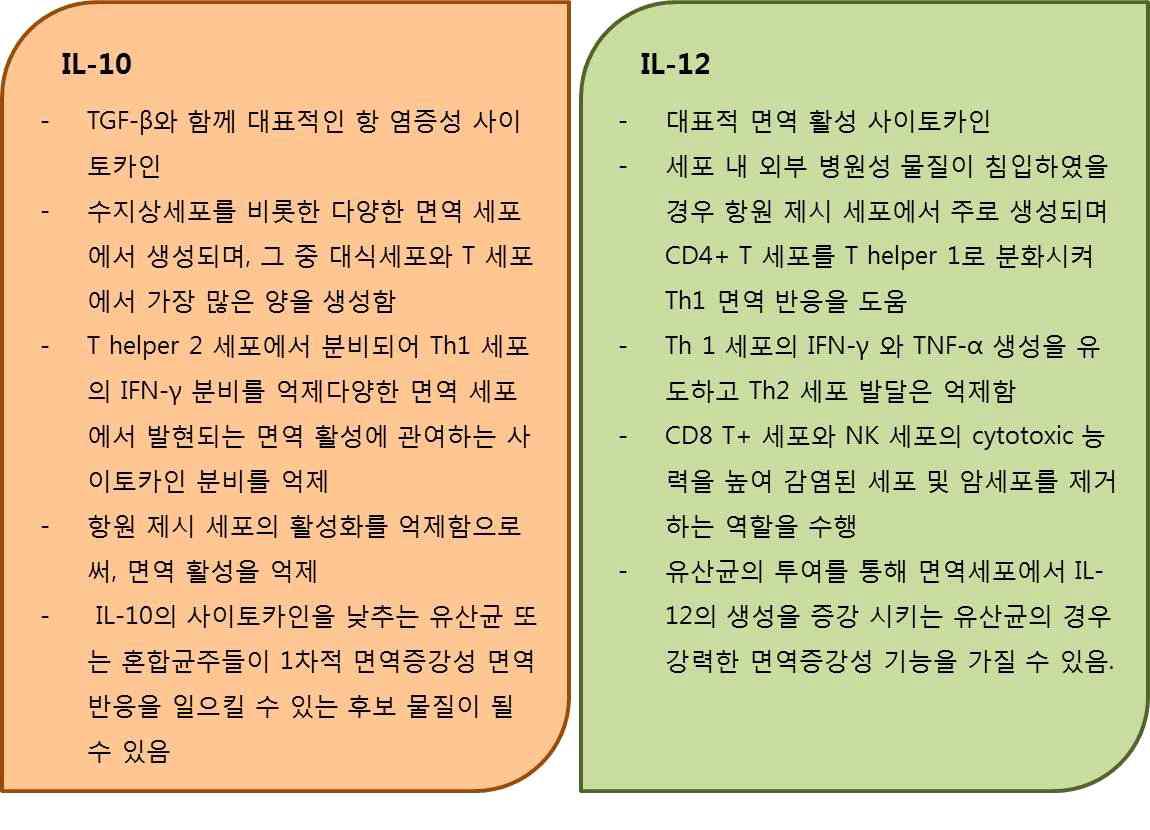 IL-10과 IL-12의 면역학적 특징