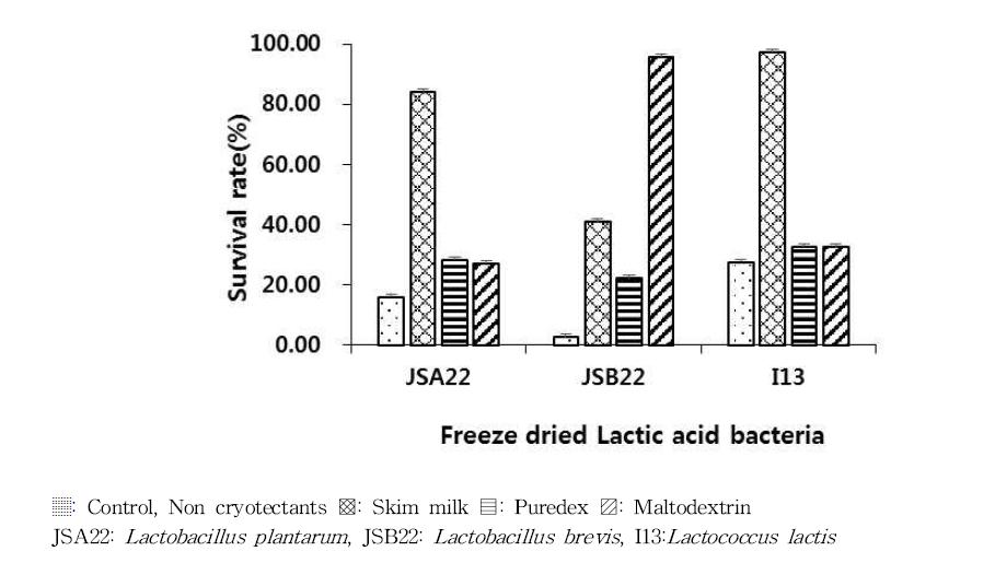 Survival of freeze-dried lactic acid bacteria