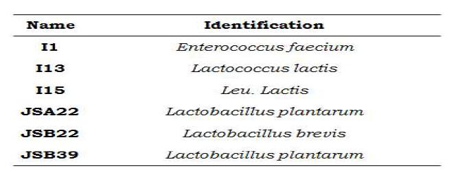 Probiotics are selected by LAB.