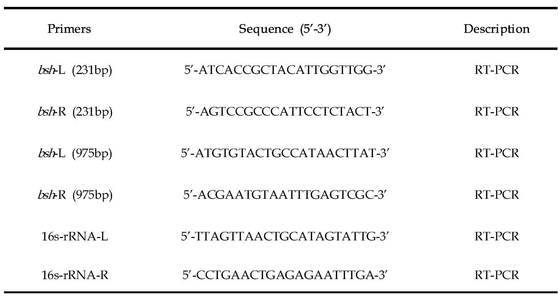 Bile salt hydrolase (bsh) gene primer sequences used for RT-PCR in this study.