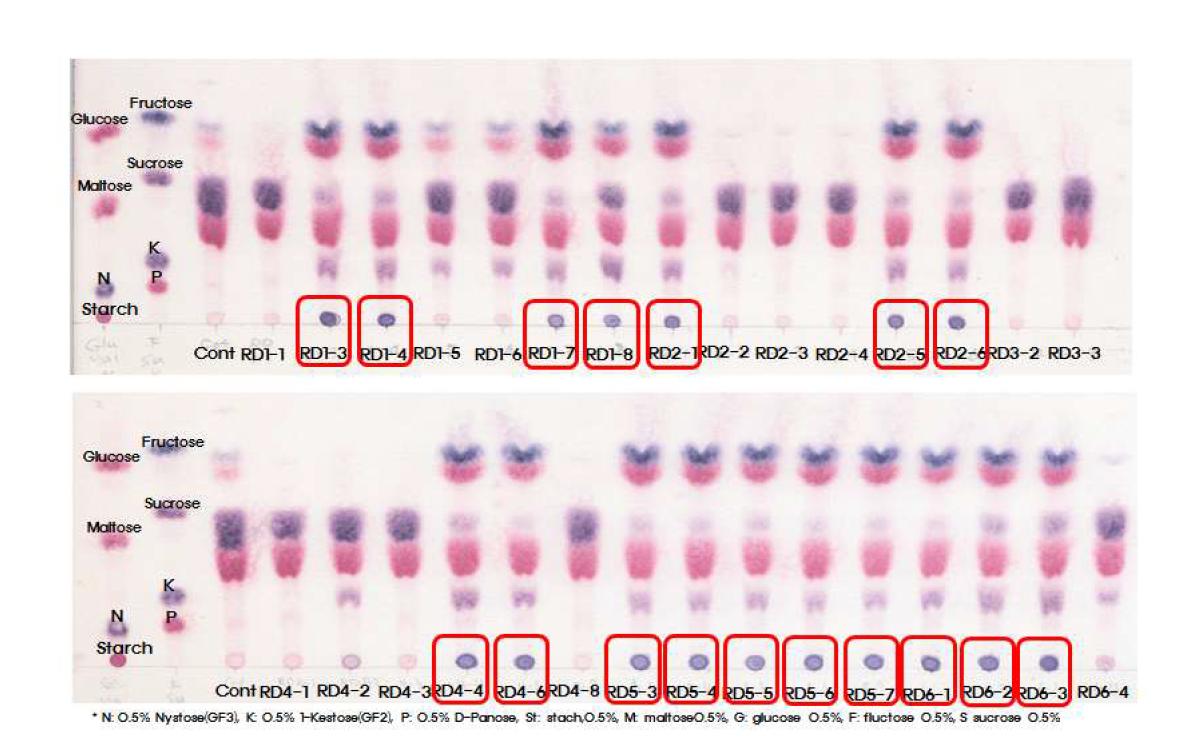 creening of Homo-exopolysaccharide (levan) producing Bacillus sp. using TLC image