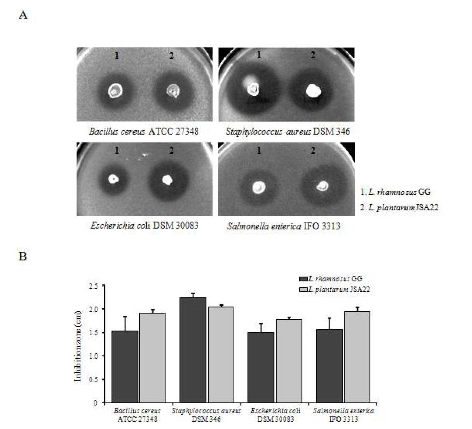 Antagonistic activity of L. plantarum JSA22 against pathogenic bacteria.
