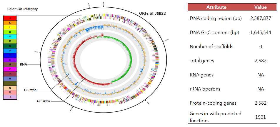 Genome map of Lb. brevis JSB22.TM