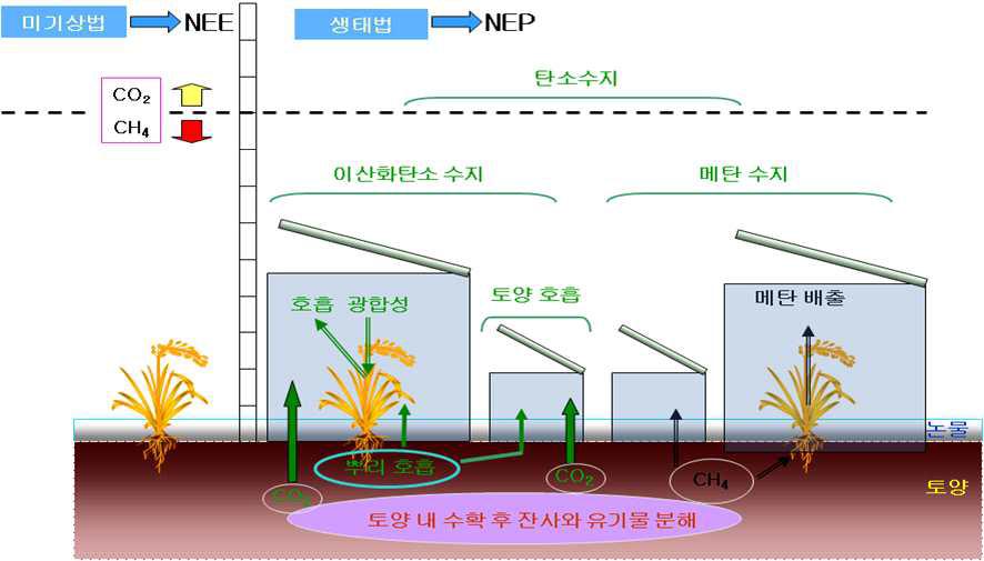 논 생태계의 탄소수지 모식도