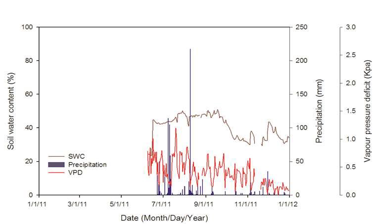 2011년의 토양수분과 강수량 및 포차의 변화(2011.06.08.～12.31.)