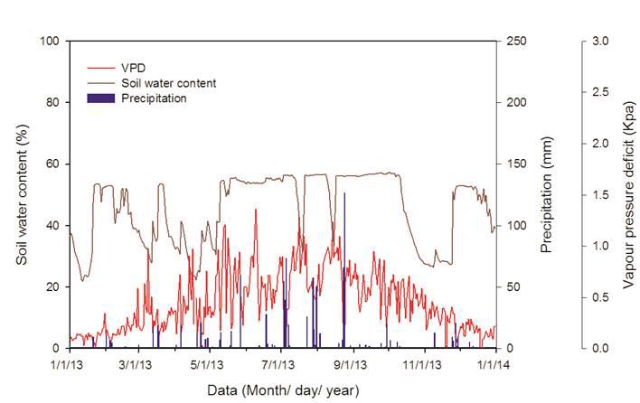 2013년의 토양수분과 강수량 및 포차의 변화(2013.01.01.～12.31.)