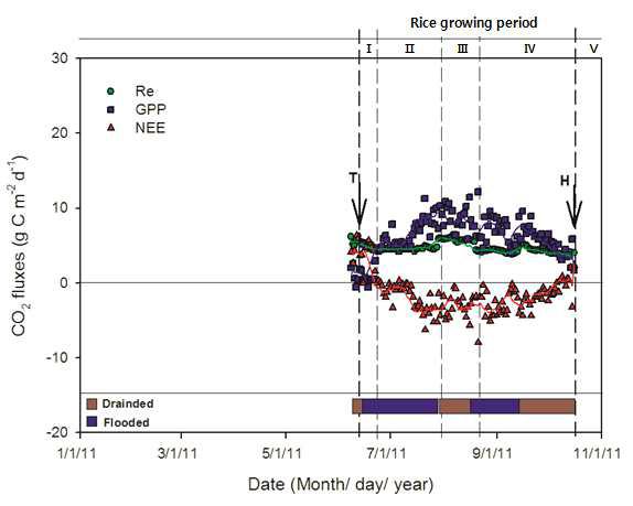 2011년의 벼-보리 이모작지에서 CO2 플럭스의 일별 변화