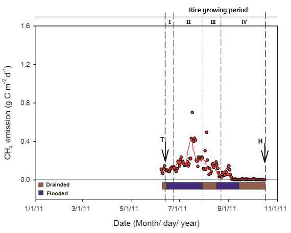 2011년의 벼-보리 이모작지에서 CH4 배출량의 일별 변화